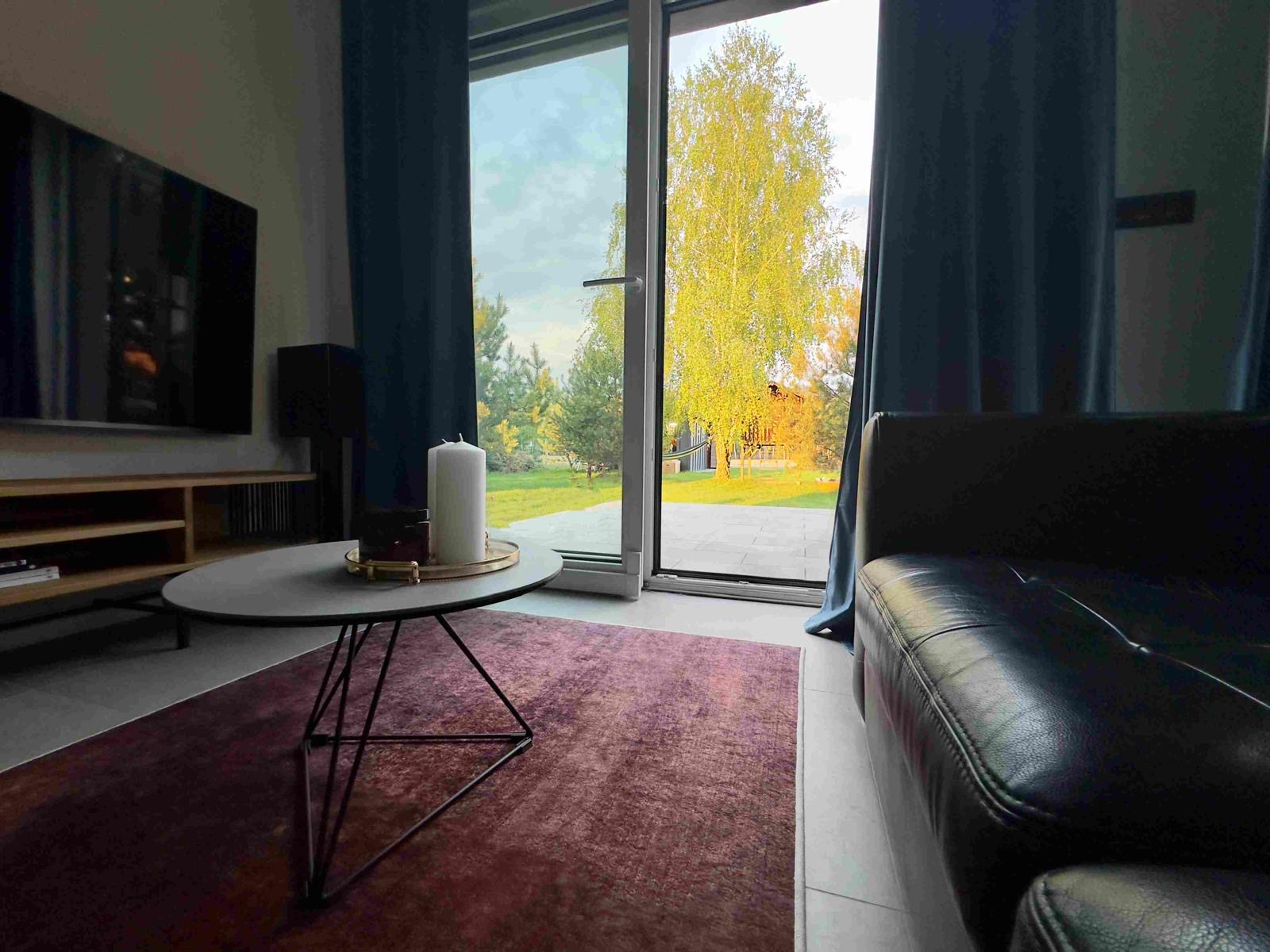 Nowoczesny salon z designerską sofą i dywanem w domu blisko lasu
